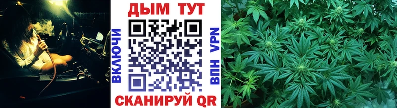 цены наркотик  Приморск  Марихуана SATIVA & INDICA 
